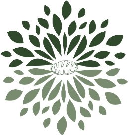 Timbiriche Vida Health and Wellness Logo